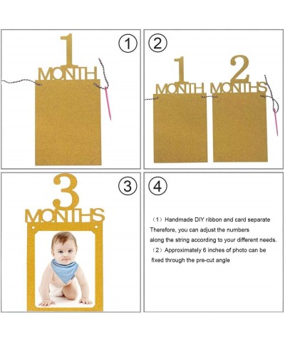 1st Birthday Baby Photo Banner Growth Record 1-12 Month Photo Prop Monthly Milestone Photograph Bunting Garland- First Birthd...