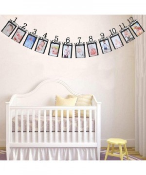 1st Birthday Baby Photo Banner Growth Record 1-12 Month Photo Prop Monthly Milestone Photograph Bunting Garland- First Birthd...