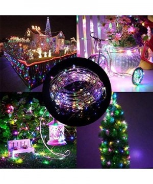 String Lights-LED Copper Wire Lights- Each Set 33ft/10M 100LEDs and 1 Remote Control.AA Battery Powered-Decor Rope Lights for...