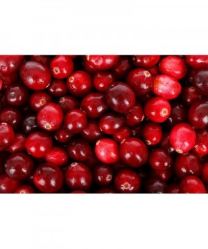 Cranberry Mini Floater Candles- 2.5"- Red - Red - C112EB4KT5X $5.57 Candles