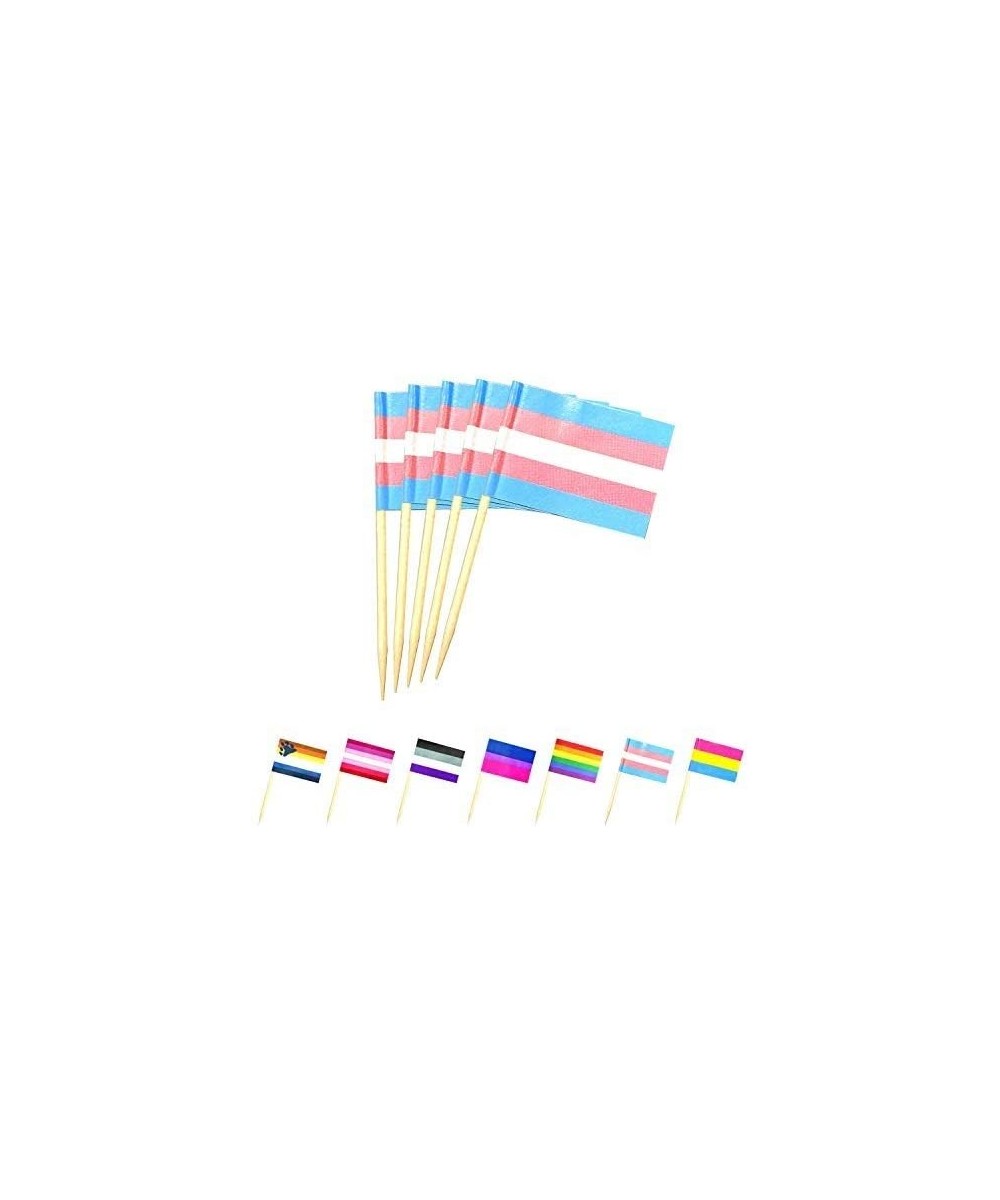 200 Pcs Rainbow Transgender Trans Cake Topper flag- Pride LGBT Trans Small Mini Fruit Toothpick stick Flags- American Rainbow...