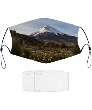 Cotopaxi Volcano at - Unisex Mouth Face Cover Scarf Balaclava Dust Reusable and Washable Fashion Cute Adjustable Protection C...