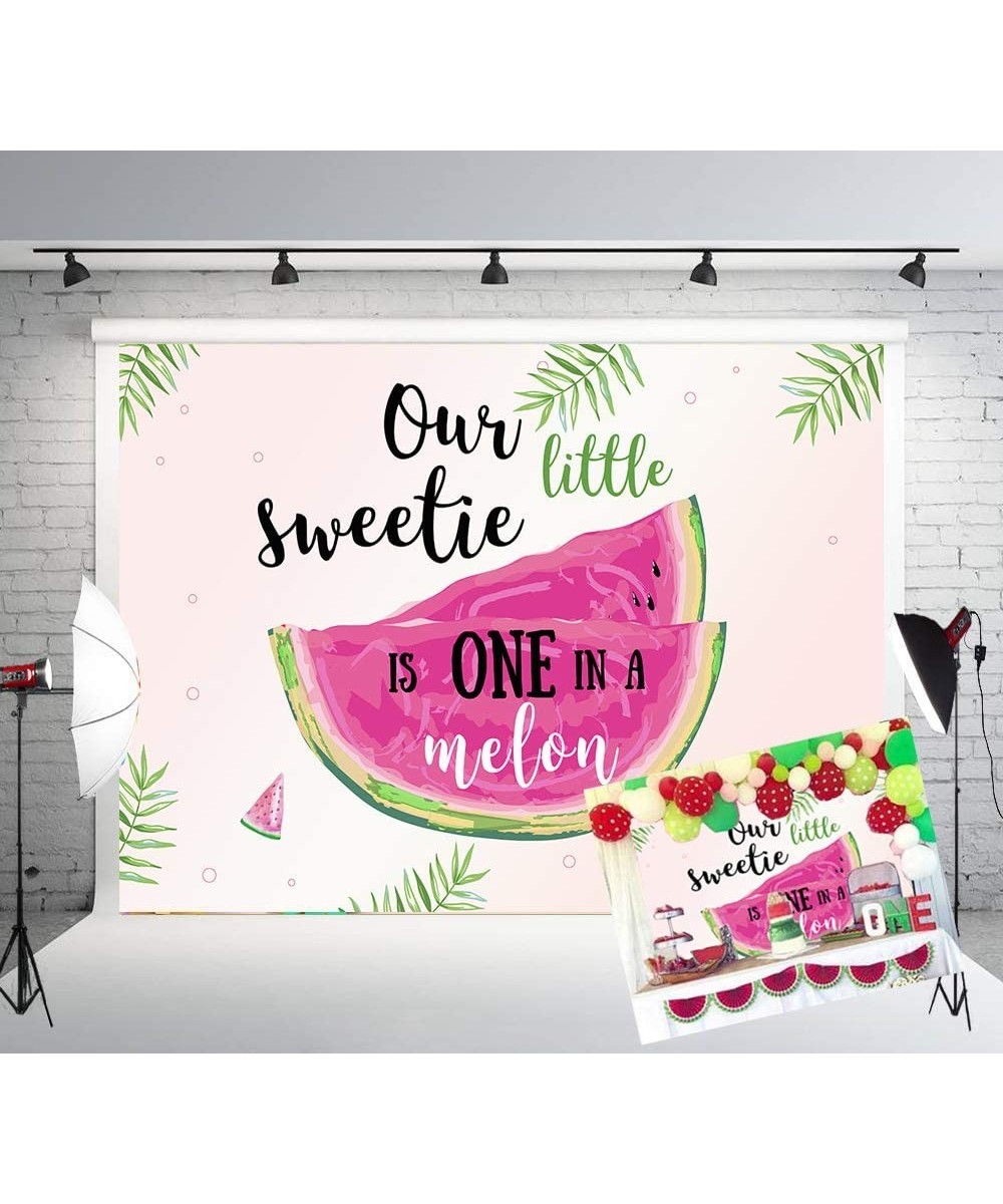 Summer Fruit Watermelon Theme Photography Backdrop Sweet One in a Melon 1st Birthday Party Cake Table Decoration Photo Backgr...