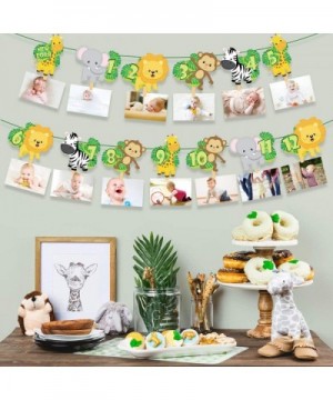 Animal 1st Birthday Baby Photo Banner - Newborn to 12 Month Bunting Garland Monthly Milestone Photo Banner for Safari Jungle ...