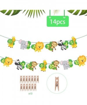 Animal 1st Birthday Baby Photo Banner - Newborn to 12 Month Bunting Garland Monthly Milestone Photo Banner for Safari Jungle ...