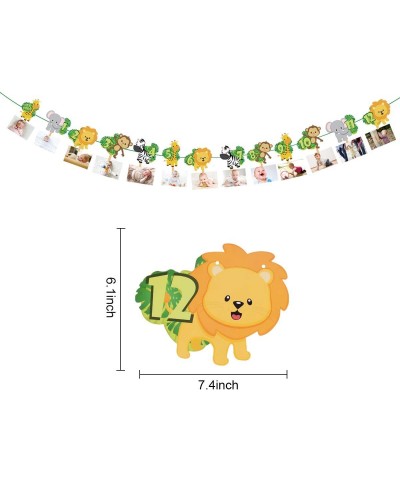 Animal 1st Birthday Baby Photo Banner - Newborn to 12 Month Bunting Garland Monthly Milestone Photo Banner for Safari Jungle ...