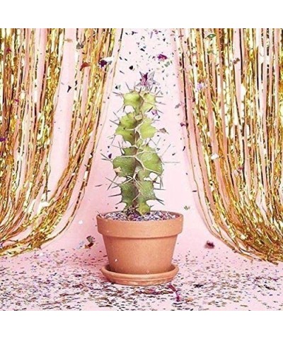 Gold Shimmer Door Curtains Metallic Tinsel Fringe Photo Booth Backdrop 3'x8' (1 pc) - Gold - CM12NSG2ZMO $6.05 Photobooth Props