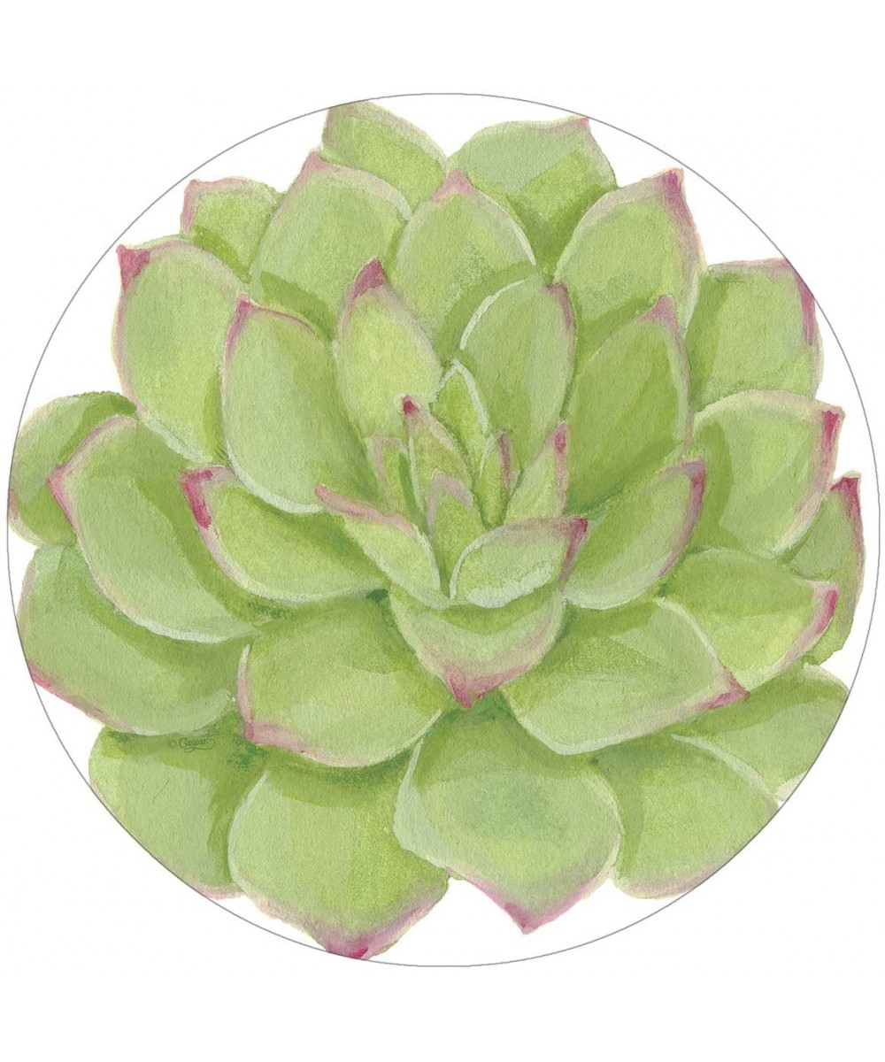 Paper Plates Disposable Plates Dessert Plates Appetizer Plates 7.25 Inch Party Plates Cactus Succulents Pak of 16 - CX18N09II...