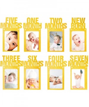 1st Birthday Baby Photo Banner from Newborn to 12 Months- Glitter Monthly Milestone Photograph Paper Bunting Garland for Boy ...