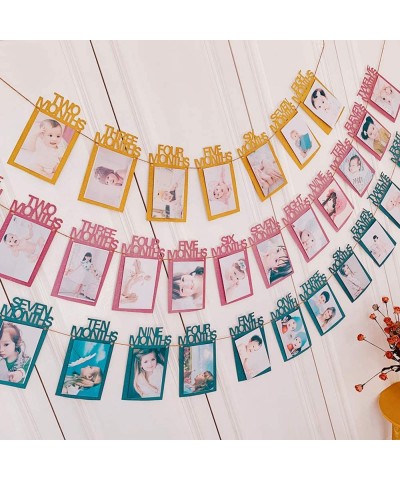 1st Birthday Baby Photo Banner from Newborn to 12 Months- Glitter Monthly Milestone Photograph Paper Bunting Garland for Boy ...