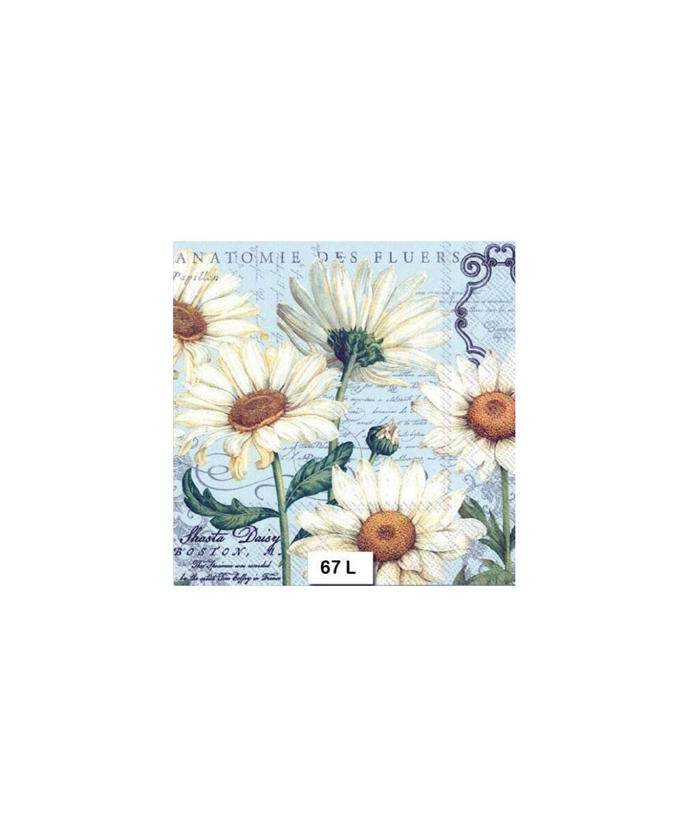 Two Individual Paper Luncheon Decoupage Napkins - Shasta- Daisy- Flower - CC18AMO4SXY $6.83 Tableware