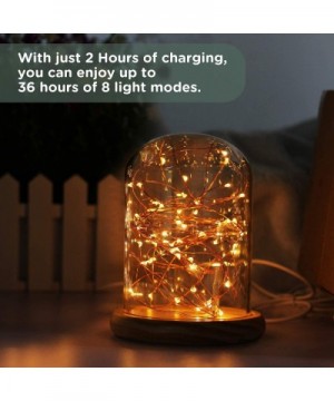 Battery Operated String Lights- 2 Pack Rechargeable 100 LED Fairy Lights- USB 8 Modes Mini Christmas Lights- 6.56ft Waterproo...
