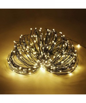100ft Led String Lights- 300 Led Starry Lights on 30M Green Copper Wire String Lights Power Adapter + Remote Control(Warm Whi...