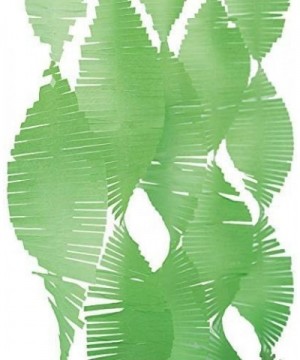 party decoration- 9'- Lime Green - Lime Green - C4182HE4ISX $7.01 Banners & Garlands