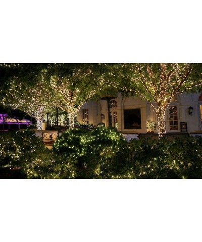 Starry Lights with Remote Control/Dimmable (80Ft/480LEDs). Very Pretty Bright Fairy Light Effects on LED Copper Wire String L...