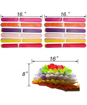 Cinco De Mayo Decorations Fiesta Tissue Pom Paper Flowers - Mexican Carnival Rainbow Theme Party Supplies 16" (Set of 12) - C...