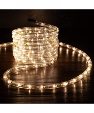 10 feet Warm White LED Rope Lights for Accent Holiday Christmas Party Decoration Lighting - ETL & UL Certified - 10- 25- 50- ...