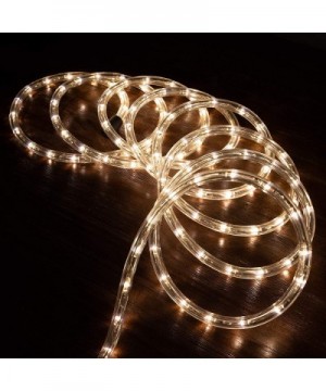 10 feet Warm White LED Rope Lights for Accent Holiday Christmas Party Decoration Lighting - ETL & UL Certified - 10- 25- 50- ...