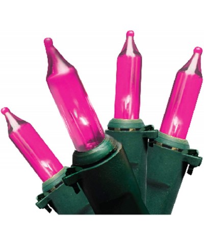 100 Count Professional Series Mini Lights- Green Wire- Pink - Green Wire_pink - C111LXNWZR1 $16.35 Outdoor String Lights