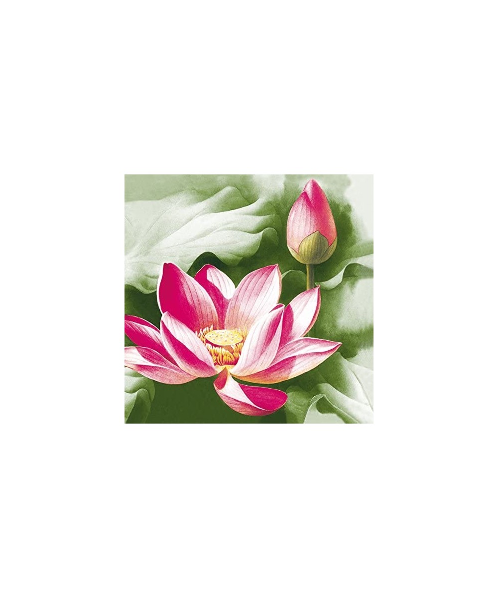 Decorative Floral Paper Lunch Napkins - Pink Lotus- 20 Count- 6.5 inch - Pink Lotus - CW1864L8RX6 $7.71 Tableware