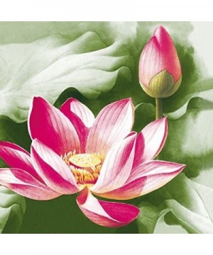 Decorative Floral Paper Lunch Napkins - Pink Lotus- 20 Count- 6.5 inch - Pink Lotus - CW1864L8RX6 $7.71 Tableware