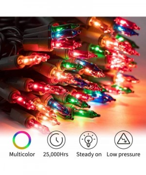 Clear Christmas Mini Lights Set for Xmas Trees 100 Count 25 Feet Green Wire String Lights for Indoor Outdoor Patio Trees Wrea...