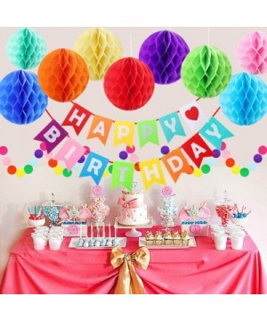 Happy Birthday Decorations- Happy Birthday Banner- Rainbow Birthday Party Decorations with Colorful Honeycomb Pom- Circle Dot...
