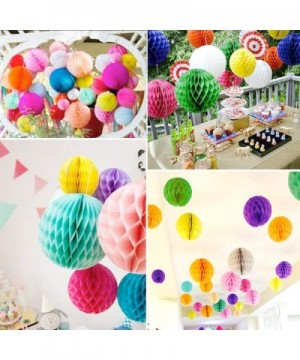 Happy Birthday Decorations- Happy Birthday Banner- Rainbow Birthday Party Decorations with Colorful Honeycomb Pom- Circle Dot...