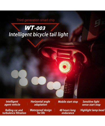 Smart Bike Tail Light- USB Rechargeable Auto On/Off Super Bright LED Bicycle Taillight for Road Mountain Bike- IPX6 Waterproo...