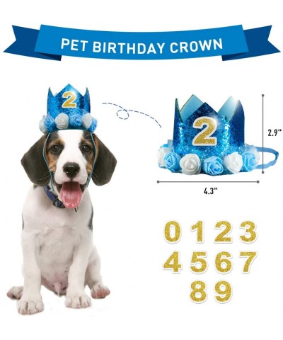 Dog Birthday Party Supplies Lets Pawty Puppy Decorations-Birthday Crown and Bandana-20 Pcs Paw Print Balloons-Happy Birthday ...