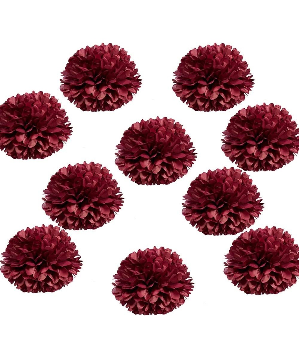 10pcs 10 inch Party Pom poms Paper Pom Poms DIY Art Craft Tissue Paper Flower Decorative Flowers Hanging Paper Flower for Hom...