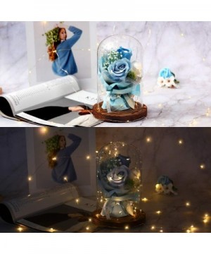 Beauty and The Beast Rose-Blue Rose Kit-Silk Rose and Led Light Fallen Petals in Glass Dome on Wood Base Valentine's Birthday...