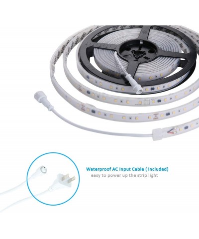 120V Dimmable LED Strip Light- Work with Smart Plug- Waterproof IP65- No Need LED Driver Converter- Cool White 6000K LED Rope...