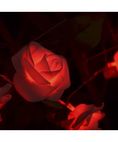 20 Led Battery Operated Premium String Romantic Flower Rose Fairy Light Lamp Outdoor for Valentine's Day- Wedding- Room- Gard...