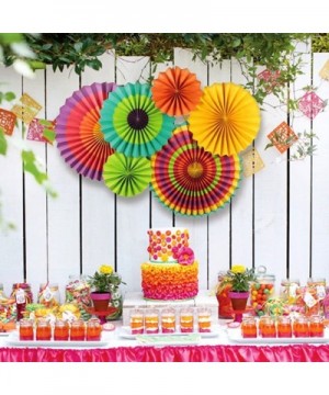 Fiesta Party Decorations- Paper Fans- Pom Poms-Paper Paper Lanterns and Rainbow Party Supplies for Birthdays- Cinco De Mayo- ...