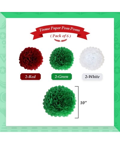 19pcs Christmas Paper Party Decorations for Party Indoor and Outdoor Include White Red Green Tissue Pom-poms Flowers Christma...