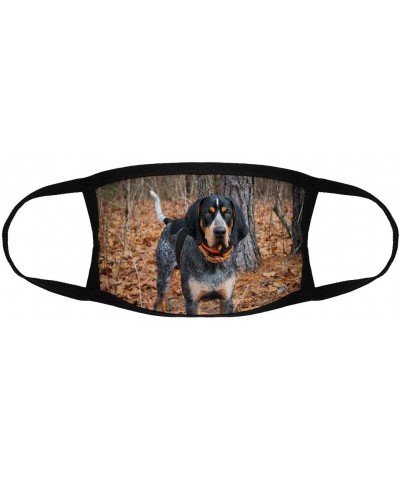 Bluetick Coonhound Standing/Reusable Face Mouth Scarf Cover Protection №SW1695 - Bluetick Coonhound Standing By the Woods N13...