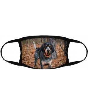 Bluetick Coonhound Standing/Reusable Face Mouth Scarf Cover Protection №SW1695 - Bluetick Coonhound Standing By the Woods N13...