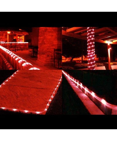 Solar Rope Lights Outdoor- 39ft 100LED LED Rope Lighting Waterproof Copper Wire Rope String Light for Christmas Home Garden P...