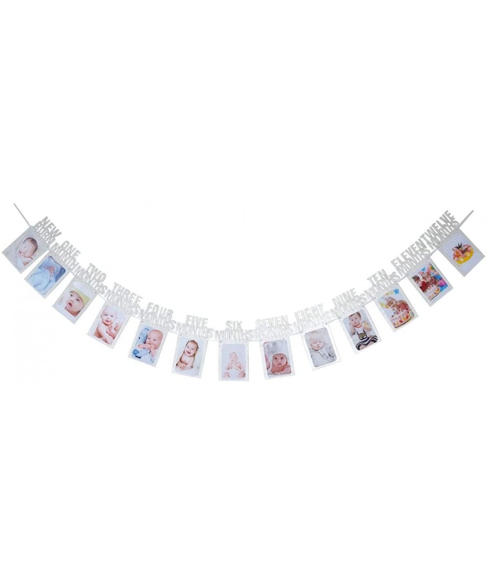Baby Photo Banner from Newborn to 12 Months for 1st Birthday-Glitter Monthly Milestone Photograph Garland(Silver) - Silver - ...