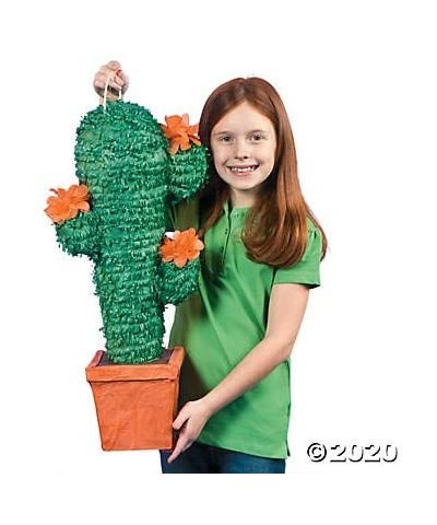 Cactus Pinata - Fiesta and Cinco de Mayo Party Decor - CP11896BICN $24.15 Piñatas