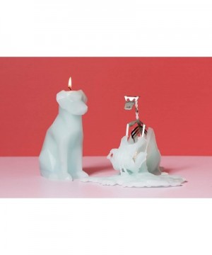 Animal Shaped Skeleton Candles by 54 Celsius (Voffi- Mint) - Mint - C018IZMT7MG $34.42 Birthday Candles