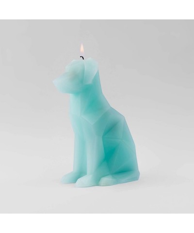 Animal Shaped Skeleton Candles by 54 Celsius (Voffi- Mint) - Mint - C018IZMT7MG $34.42 Birthday Candles