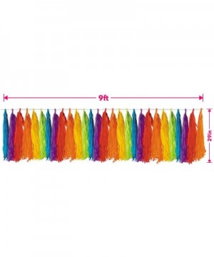 Rainbow Party Supplies - Large Ceiling Decoration and Tissue Fringe Table Skirt - Ceiling Decoration and Tissue Fringe Table ...