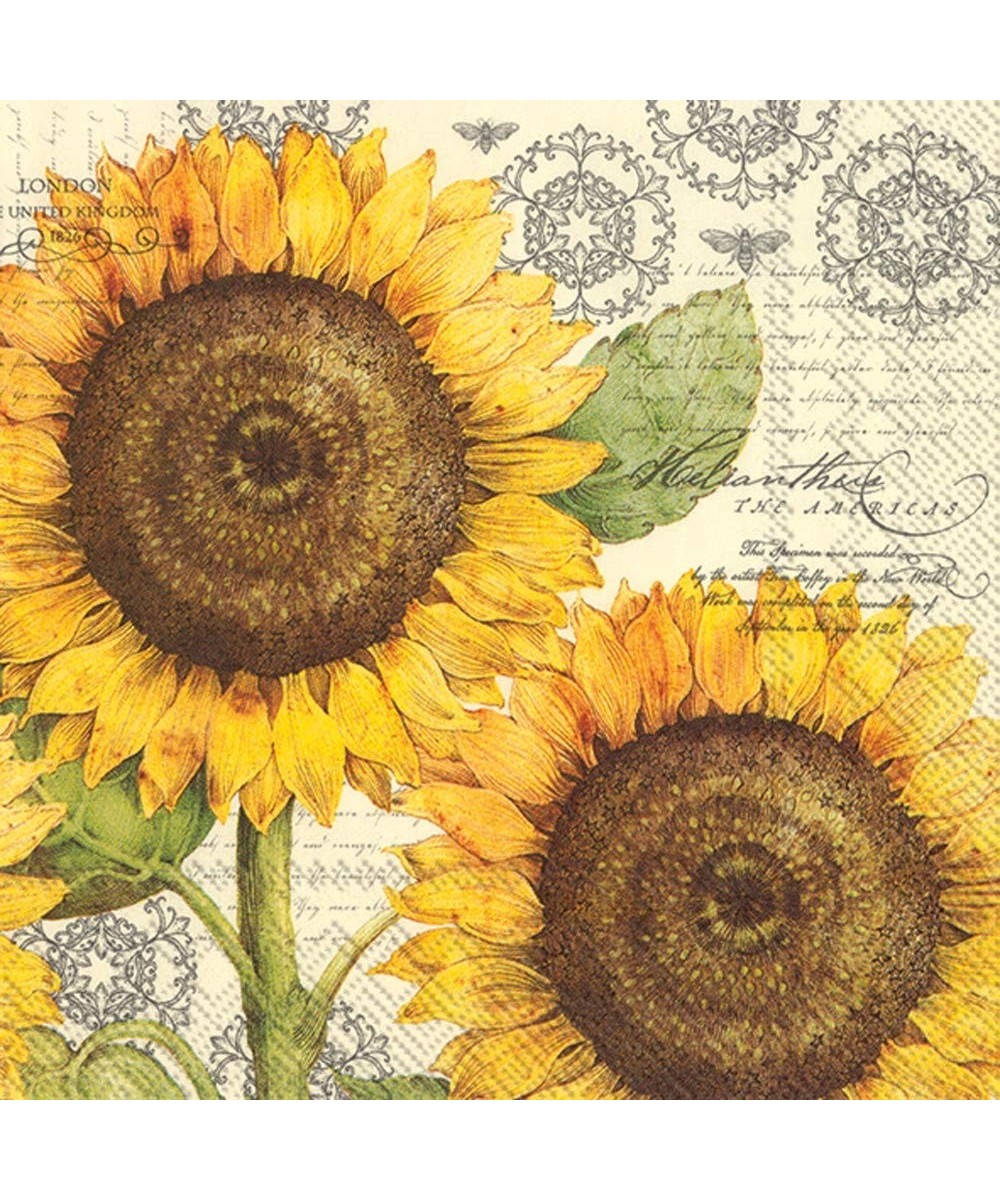 Paper Cocktail Napkins (20 Count)- 5 x 5"- Botanical Sunflower Cream - Botanical Sunflower Cream - CL18E3ELN8E $5.35 Tableware