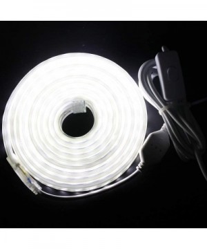 LED Strip Lights- 3.3ft Rope Light- AC 110V-120V SMD 2835 264 LED/M Triple Rows LED Tape with PVC Tube Cover- Flexible Indoor...