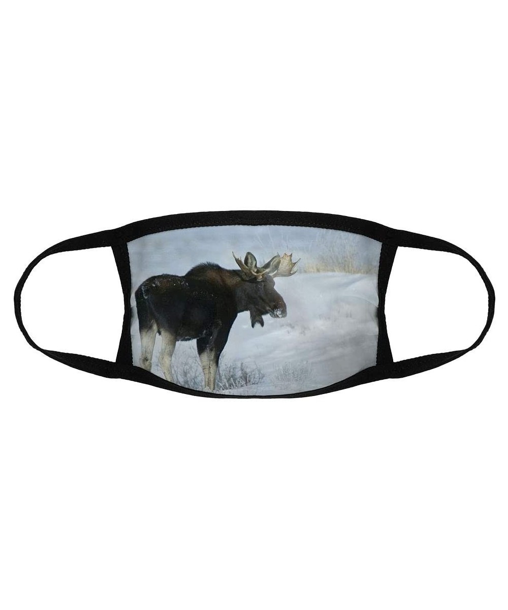 Young Bull Moose/Reusable Face Mouth Scarf Cover Protection №IS145292 - Young Bull Moose in Winter N08 - C119H22E23H $9.08 Fa...