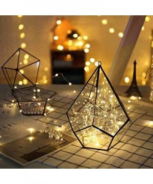 12 Set Lights Battery Operated with Timer 10ft 25 LED Warm White Mini Christmas LED Lights Starry Twinkle Firefly Lights Stri...