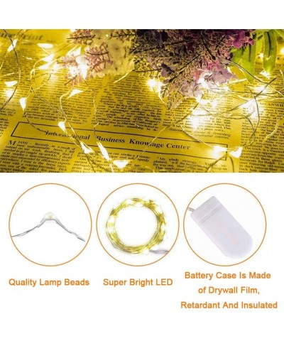 Warm White Christmas Lights Outdoor LED String Lights-Starry Fairy Fairy String Lights Battery Operated Copper Wire Lights Wa...